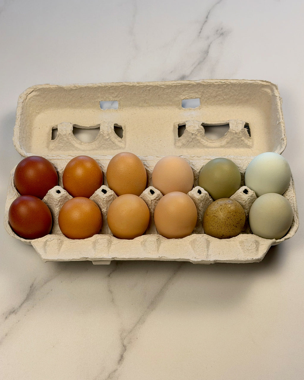 Farm Fresh Eggs