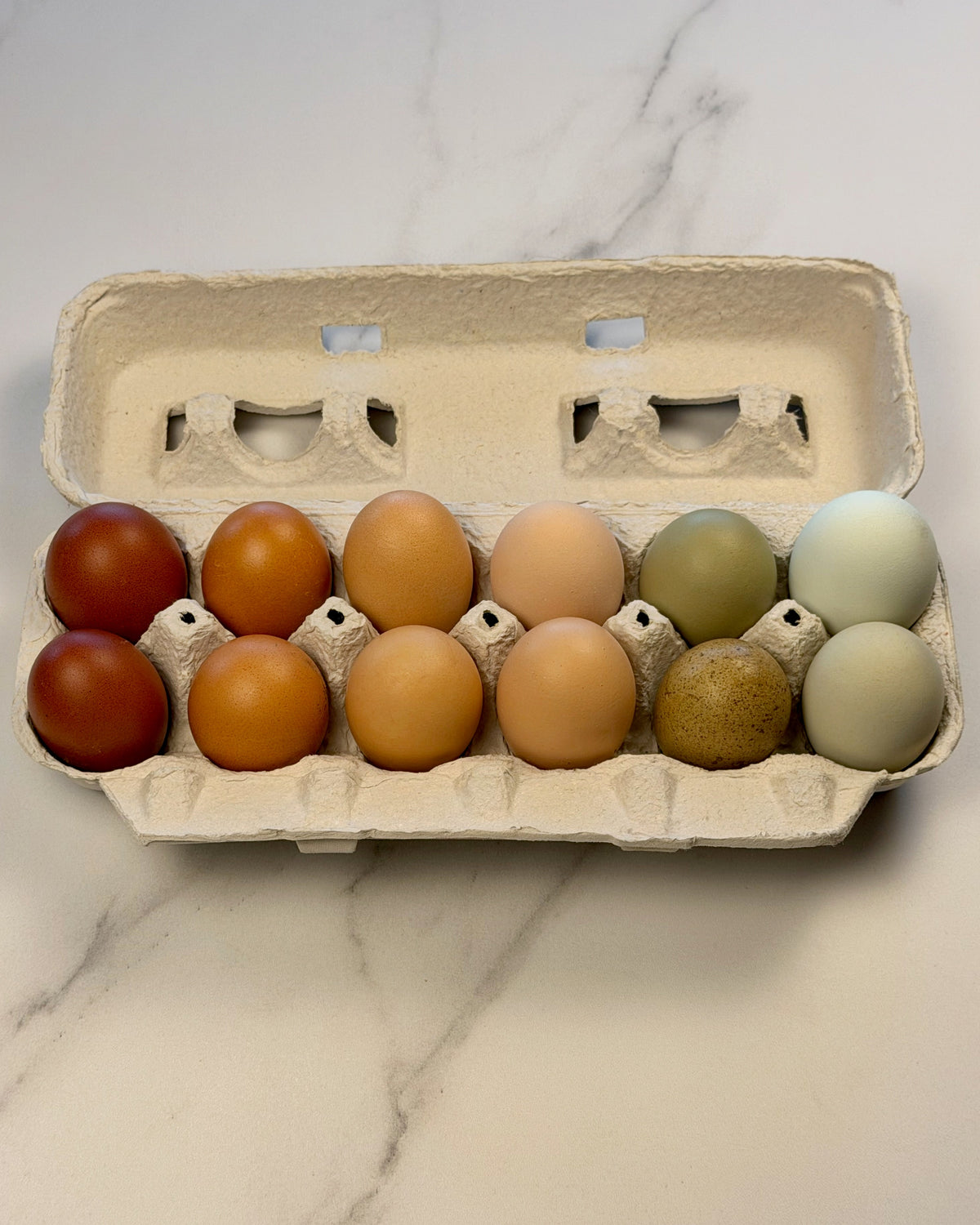 Farm Fresh Eggs